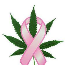 How a New Testing Kit Affects Cannabidiol Breast Cancer Treatment