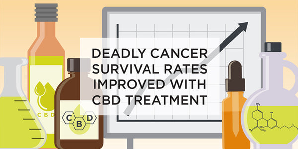 CBD AND THE RELIEF FOR CANCER TREATMENTS