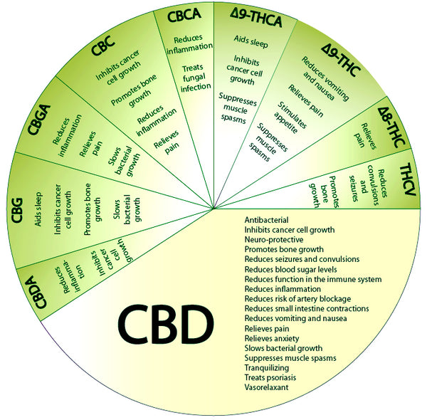 10 USES FOR CBD THAT YOU DIDN’T KNOW ABOUT
