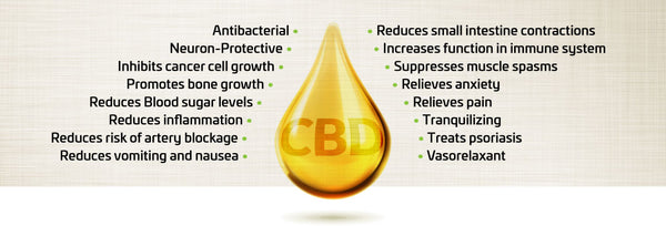 5 little-known health benefits of hemp-based CBD