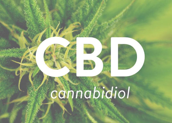 The Rise Of CBD - All Questions Answered