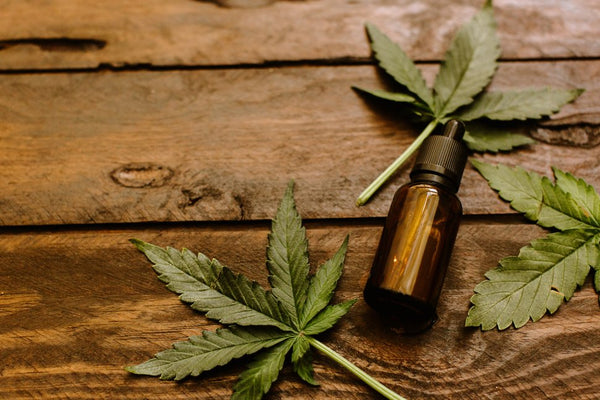 What Is CBD Oil – and Should You Use It?