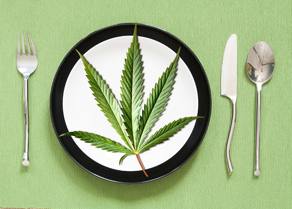 Is CBD an essential nutrient missing from our diet?